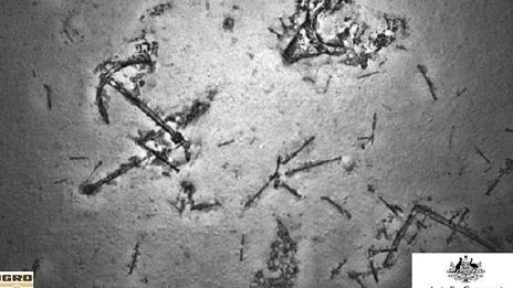 Hopes raised ... The MH370 search discovers a shipwreck Picture: JACC/Australian Governme