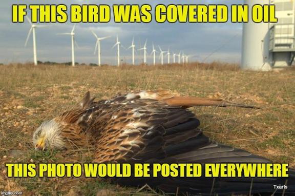 http://youmustpay.me/wp-content/uploads/2019/12/Windmills-kill-birds-but-since-theyre-not-covered-in-oil-the-media-ignores-it.jpg