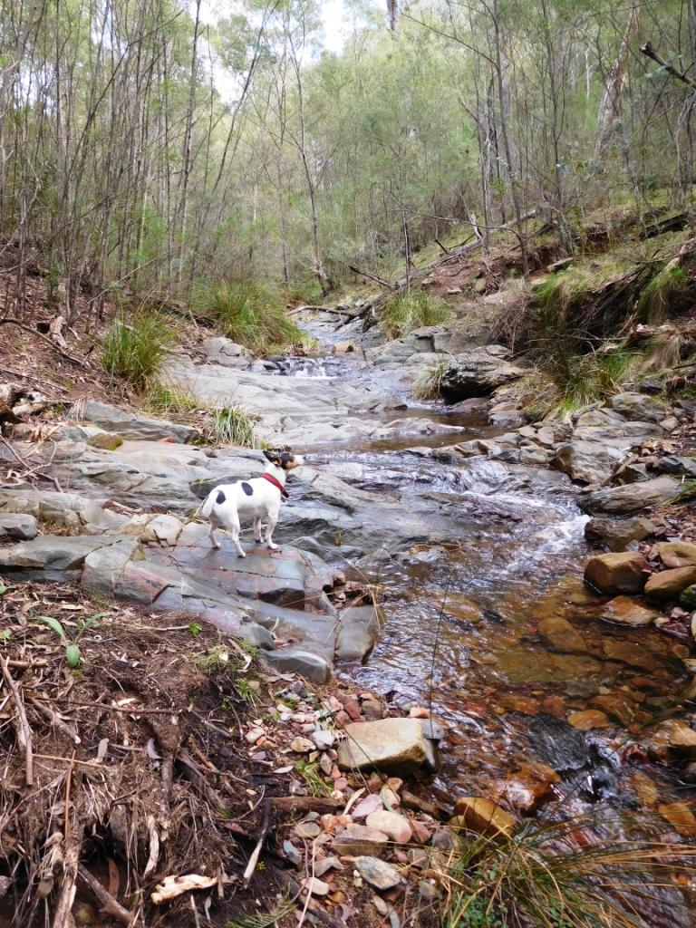 http://www.finnsheep.com/Hiking%202018_files/image006.jpg