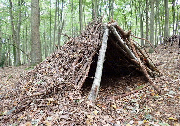 How To Build A Lean To Shelter For Survival | I Need That ...